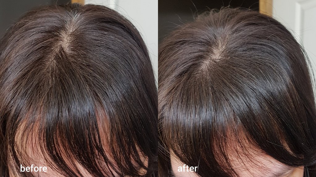 Proof Perfect Hair Day Dry Review Raiyne On